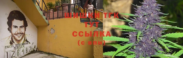 метадон Белокуриха
