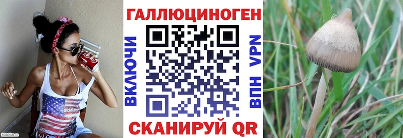 Псилоцибиновые грибы GOLDEN TEACHER  Вязьма 